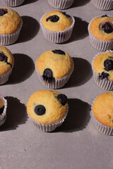 Full Capture of Homemade Muffin Pattern, Rustic, Hard Light.