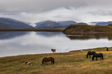 Islandia - Iceland  © jacek swiercz