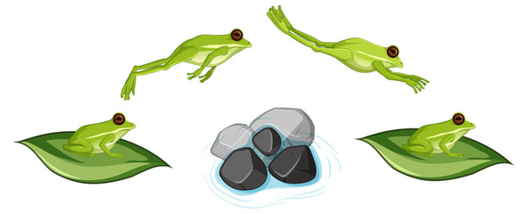 Movement of frog jumping on white background