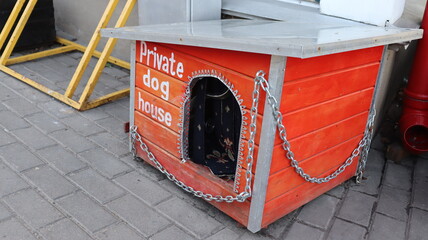 prite dog house at street