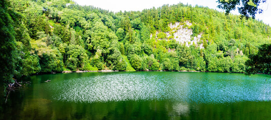 grass and water