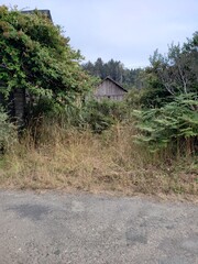 Caspar, California inland coastal area the headlands