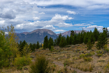 Obraz premium View of forest and summits of Rocky Mountains on beautiful day in early fall from hillside. Summit County Colorado USA.
