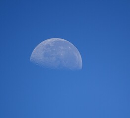 Beautiful moon in the blue sky morning
