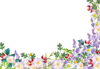 ハーブガーデンのフレーム　水彩イラスト Watercolor floral frame composition with herb flowers and leaves
