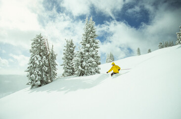 A telemark skier skiing the famous Vail Back Bowls in Colorado, USA