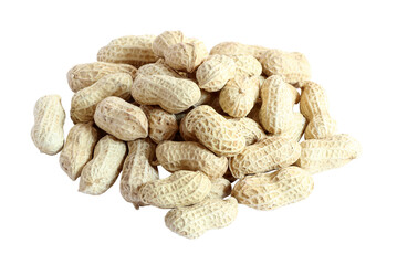 dried peanuts in shell isolated on white background