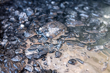 Image of charcoal soaked in water