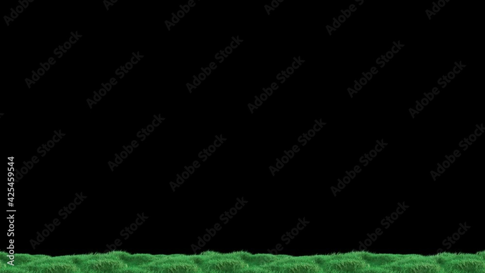 Wall mural grass wind loop with alpha channel. easy to use and change color you can place on footage or backgro