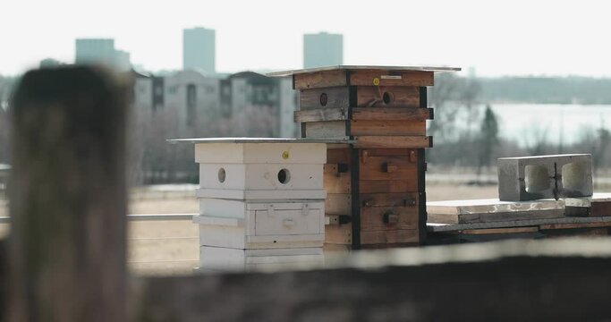 Close up of a farm bee hives and a wooden fence in the foreground with the Ottawa cityscape in the background from a farm in Gatineau, Quebec.