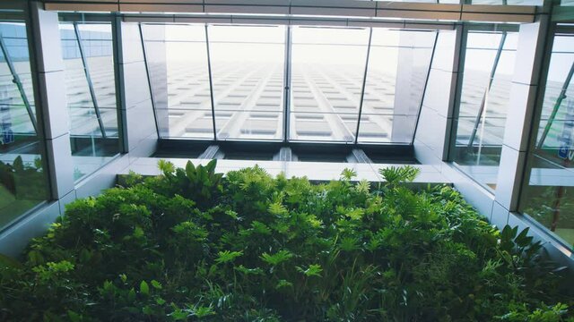Beautiful modern architecture of atrium skylight with plants and foliage. Natural light inside office building.