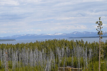 Late Spring in Yellowstone National Park: Yellowstone Lake Along with Lake Butte, Cathedral Peak, Silvertip Peak and Avalanche Peak of the Absaroka Mountains Seen from Overlook Along Grand Loop Road