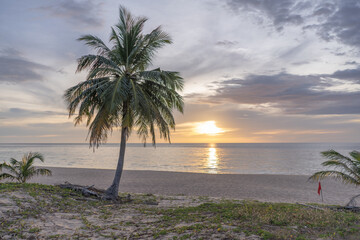 Beautiful sunset tropical beach with palm tree and grey sky for travel and vacation in holiday relax time