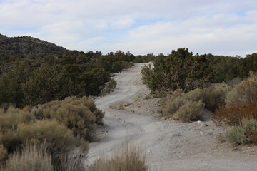 Desert road to mountains