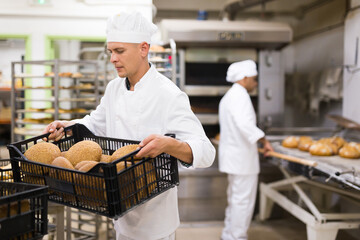 Positive bakery worker lays fresh hot bread