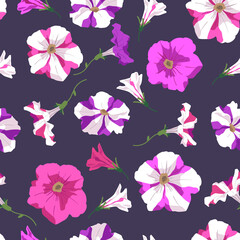 Seamless pattern in cute flowers. Floral pink and striped petunia on dark. Background for textile, gift wrap, wallpaper, covers, print, decoupage, scrapbooking. Vector illustration