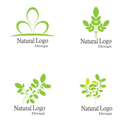 Leaf icon Vector Illustration design Logo template