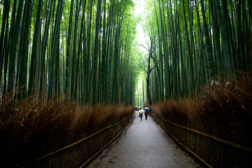 Fototapeta premium Kyoto