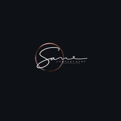 SA Initials handwritten minimalistic logo template vector