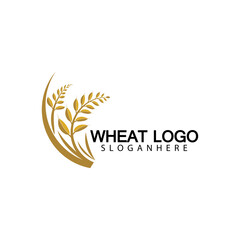 Fototapeta na wymiar Agriculture Wheat logo template vector icon design