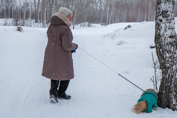 Portrait of an elderly woman with a dog. Woman with pekingese dog walking on the snowy field.