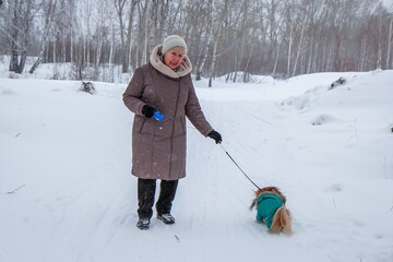 Portrait of an elderly woman with a dog. Woman with pekingese dog walking on the snowy field.