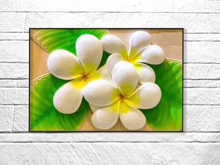 White plumeria flower and leaf wall tile for decoration, Low relief cement Thai style handcraft of  flower on white cement wall,