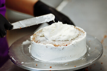 The pastry chef makes a cake. Places biscuit cakes and protein cream layer by layer. Production of cakes and pastries.