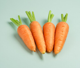 bright orange carrots on an azure background