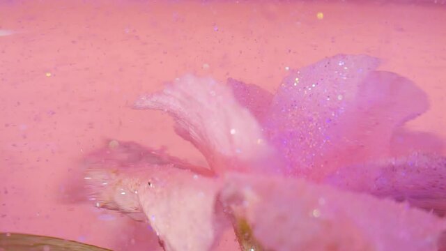 Slow motion closeup of beautiful pink flower and glitter particles under water