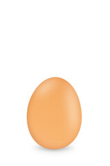 Egg close up isolated on white background.Copy space for text