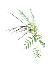 Naklejka premium Hand drawing watercolor forest bouquet of wild flowers, leaves and branches. illustration isolated on white. Perfect for summer wedding invitation and logo