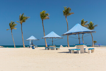 Obraz premium Palm trees on Al Mamzar beach in Dubai