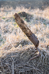 Old tool, abandoned , out of use due to mechanization of  agriculture  