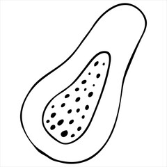tropical exotic fruit papaya cutaway, vector doodle element, coloring book, black and white