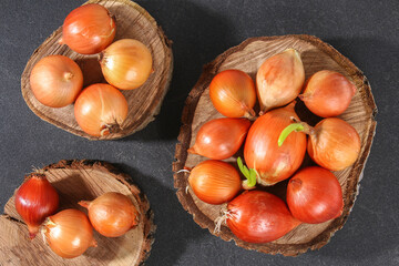 White onion bulbs on a log slice, slab on a gray background. Cooking vegetable.