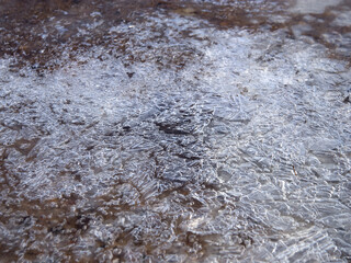 Frozen water in puddle in early spring morning