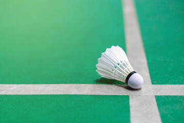 White badminton shuttlecock on white line on green background badminton court indoor badminton sports wallpaper or background with copy space