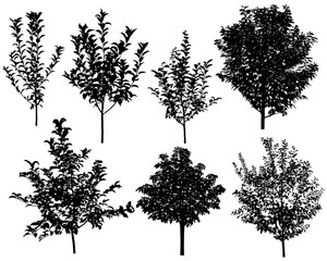 Collection of silhouettes of trees: apple, cherry, chestnut, plum