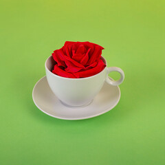 Creative cup of coffee with red rose. Minimal composition on a  green background with space for copying