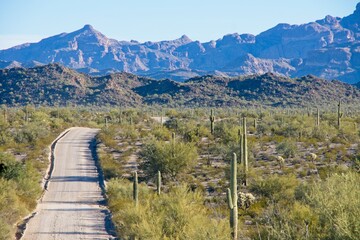 Ajo Mountain Drive in Organ Pipe Cactus National Monument in Arizona USA