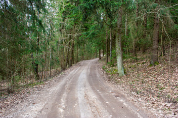 A dirt road leading through an old forest, located in Masuria, Poland, in the former Prussian lands near the city of Ełk