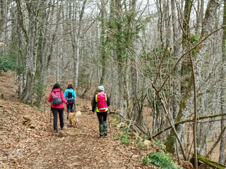 Obraz premium Magical place of giant stones and narrow passages in the mountain.