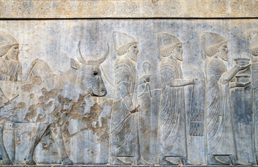 Bas-relief with assyrian foreign ambassadors, Persepolis, Iran