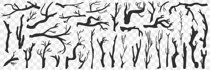 Tree branches pattern doodle set. Collection of hand drawn various branches of trees silhouettes natural pattern isolated on transparent background 