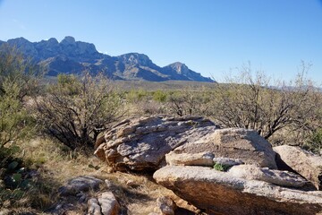 Fototapeta na wymiar Santa Catalina Mountains in Catalina State Park near Tucson in Arizona USA