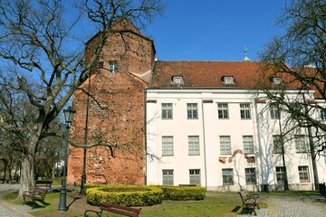 Zamek Ksiazat Mazowieckich w Plocku © Albin Marciniak