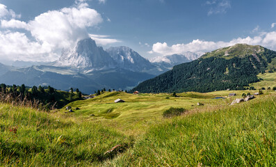 Fototapeta na wymiar Awesome alpine highlands in summer in Dolomites Alps. Scenic image of famous Sassolungo peak. Splendid landscape in Val Gardena on a sunny day. Gorgeouse spring View of Alpine valley. Amazing summer