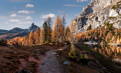 Fototapeta na wymiar Incredible nature landscape. Panoramic view on spruse forest in front of mountain range and perfect blu sky on background. Location near Federa lake . Dolomite Alps. Italy. Picture of wild nature.