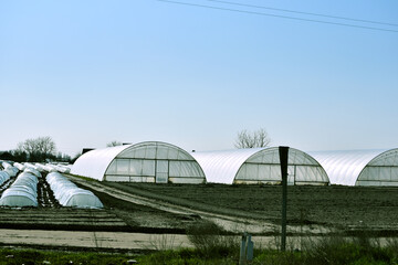 Set of greenhouses in Ukraine, early cultivation of crops photo © Vita
